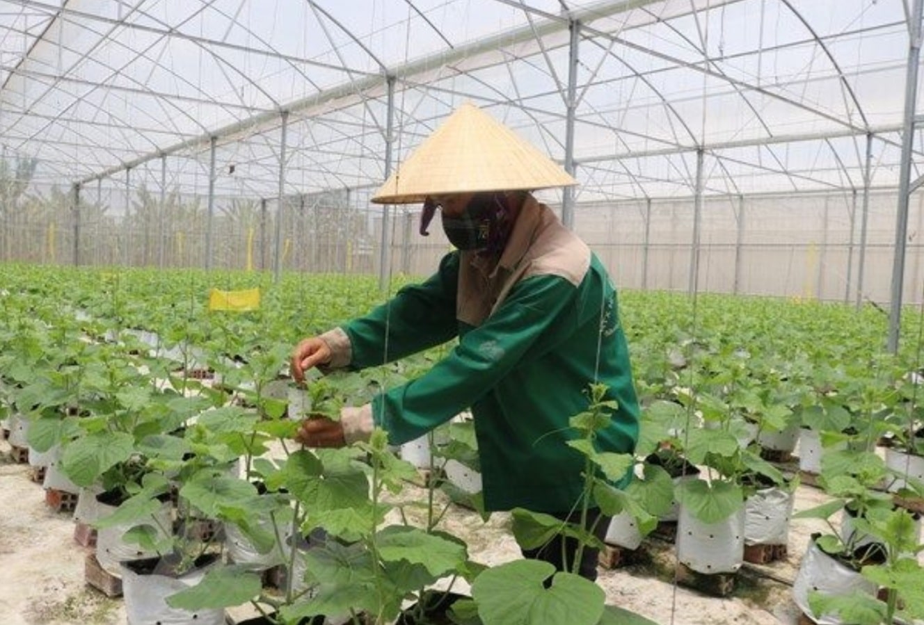 Vietnam: Science to be used to ensure food security, nutritional balance