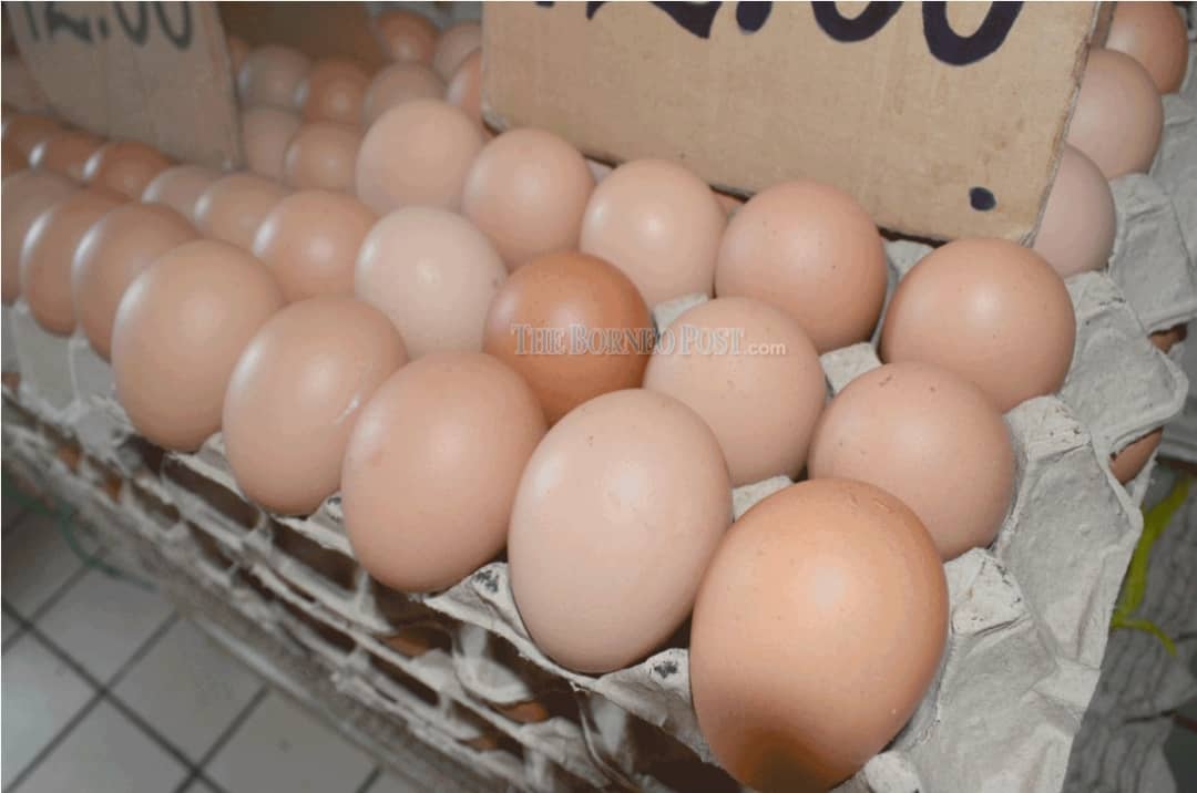 Eggs in Sarawak market safe for consumption – Datuk Dr Abdul Rahman Ismail