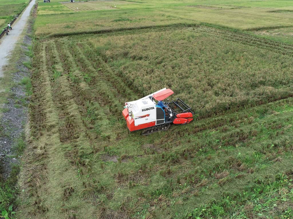 Harvesting of Paddy Crop for Season 2020/2021 at Tg. Purun, Lundu