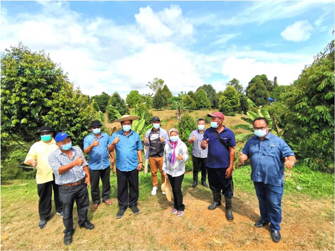 Durian farmers get praise, help from State Government