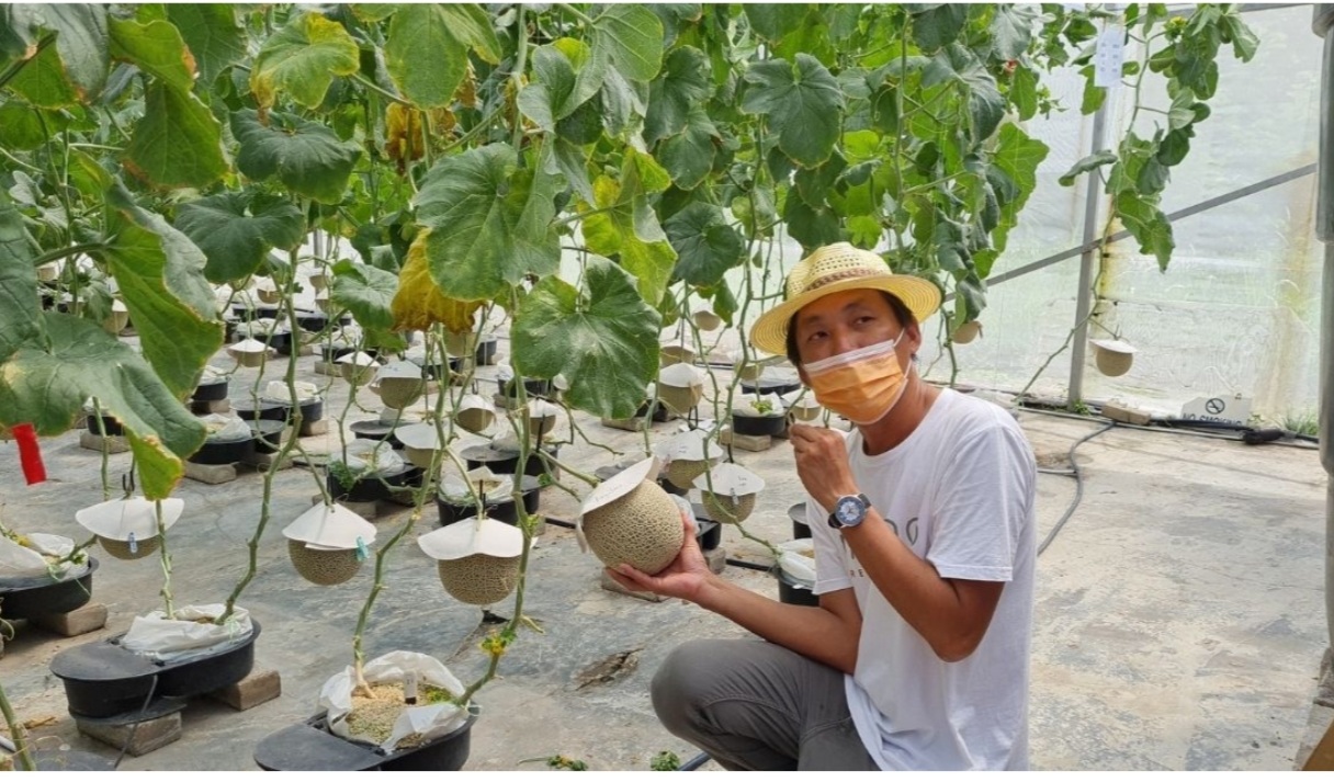 Japanese Muskmelons Were A Marketing Strategy, Here’s This Putrajaya Farm’s Real Ambition