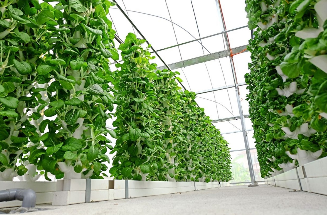 Turn Empty Spaces Into Urban Farms To Grow Food