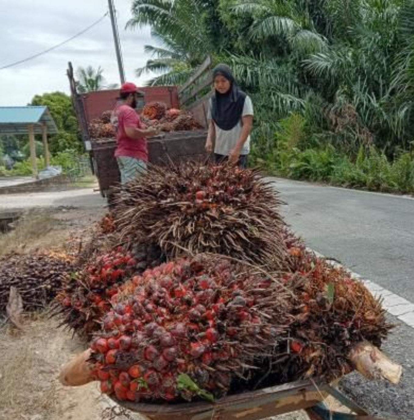 Palm oil benchmark shoots past RM4,000
