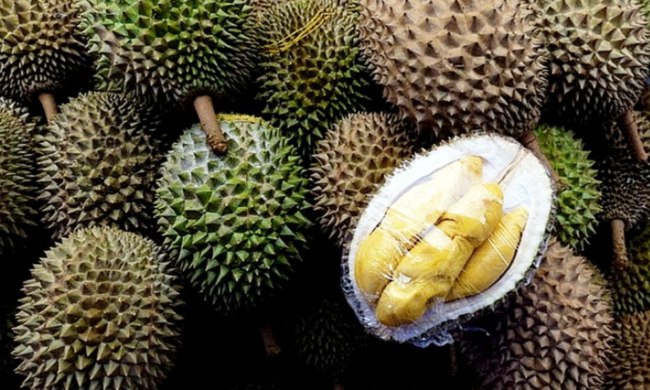 Malaysian ‘designer durians’ carving out premium niche in China