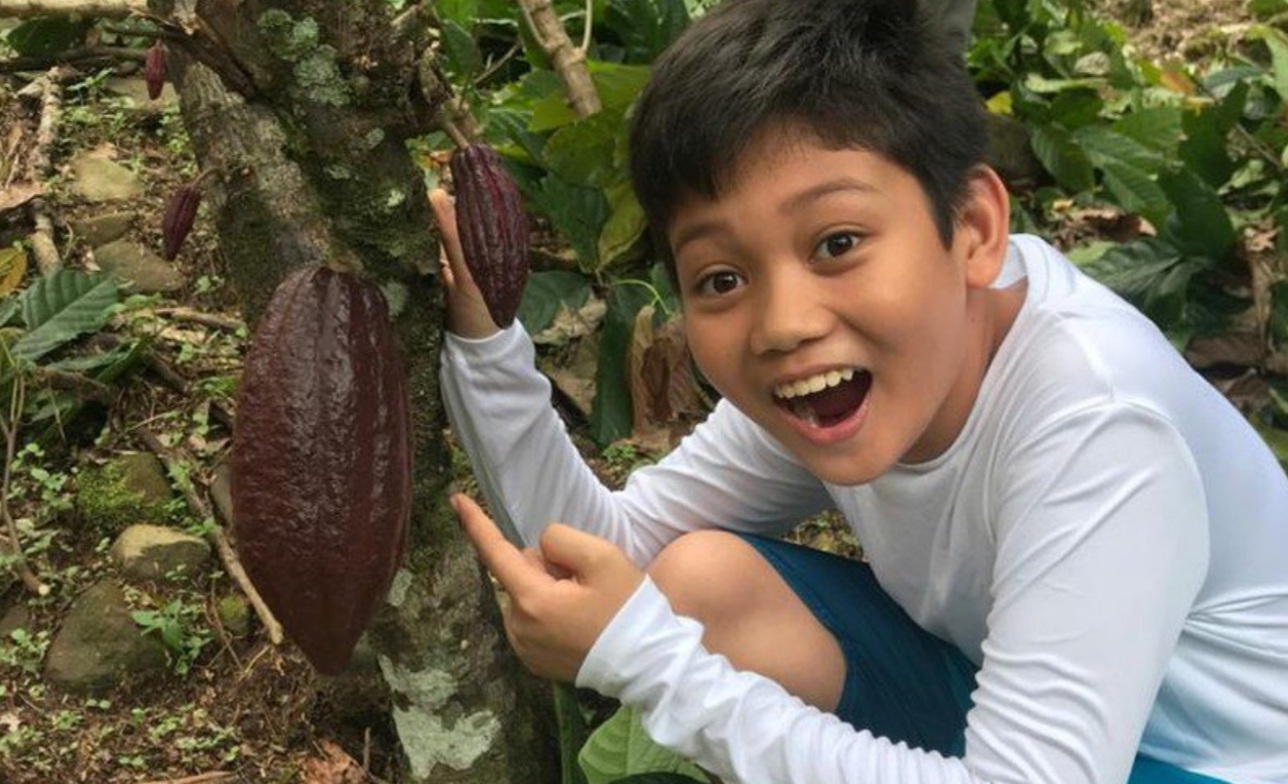 11-year-old’s chocolate factory helps support Sabah’s farmers