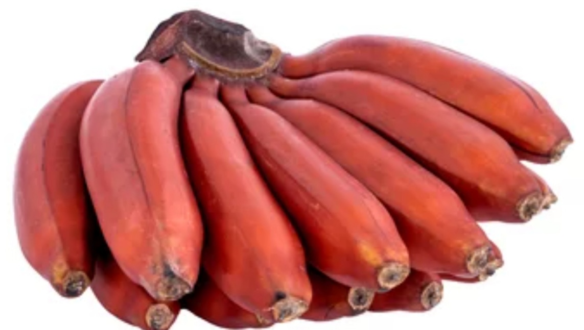 The Real Difference Between Red And Yellow Bananas