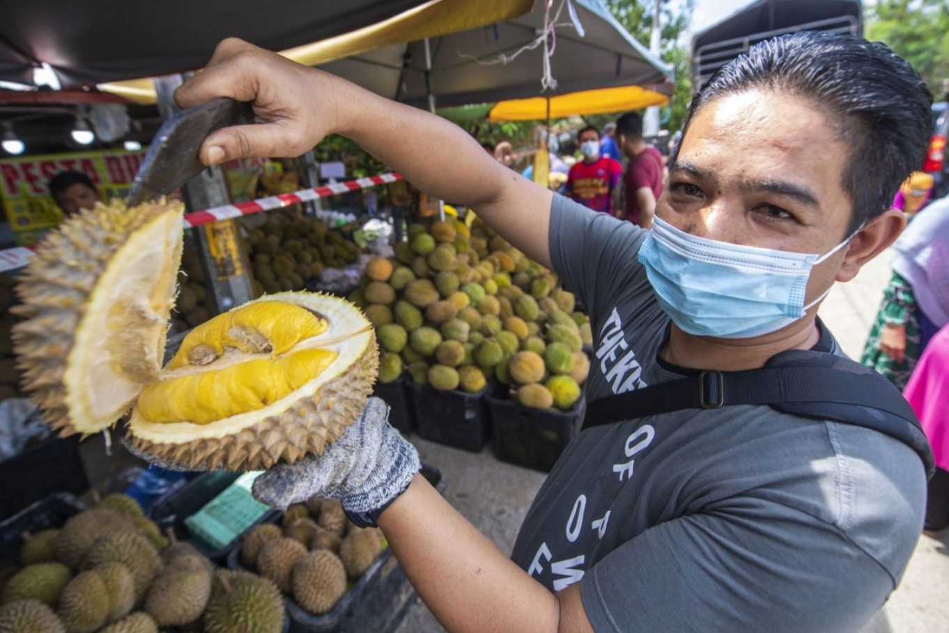 INTERACTIVE: Durian season is in full swing, and here’s what you need to know