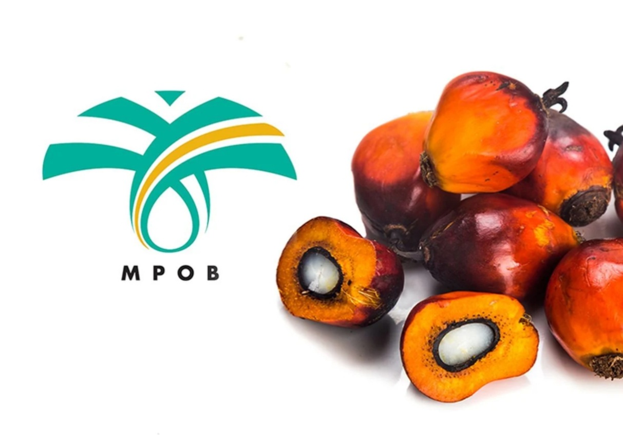 MPOB invents technology to treat palm oil mill effluent