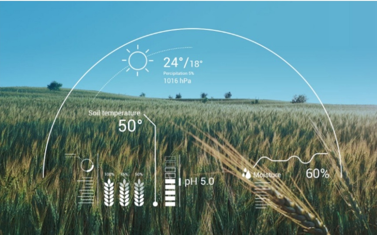 Artificial Intelligence in Agriculture : Using Modern Day AI to Solve Traditional Farming Problems