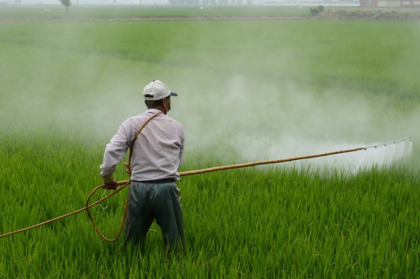 Mitigating the effects of pesticides on plants