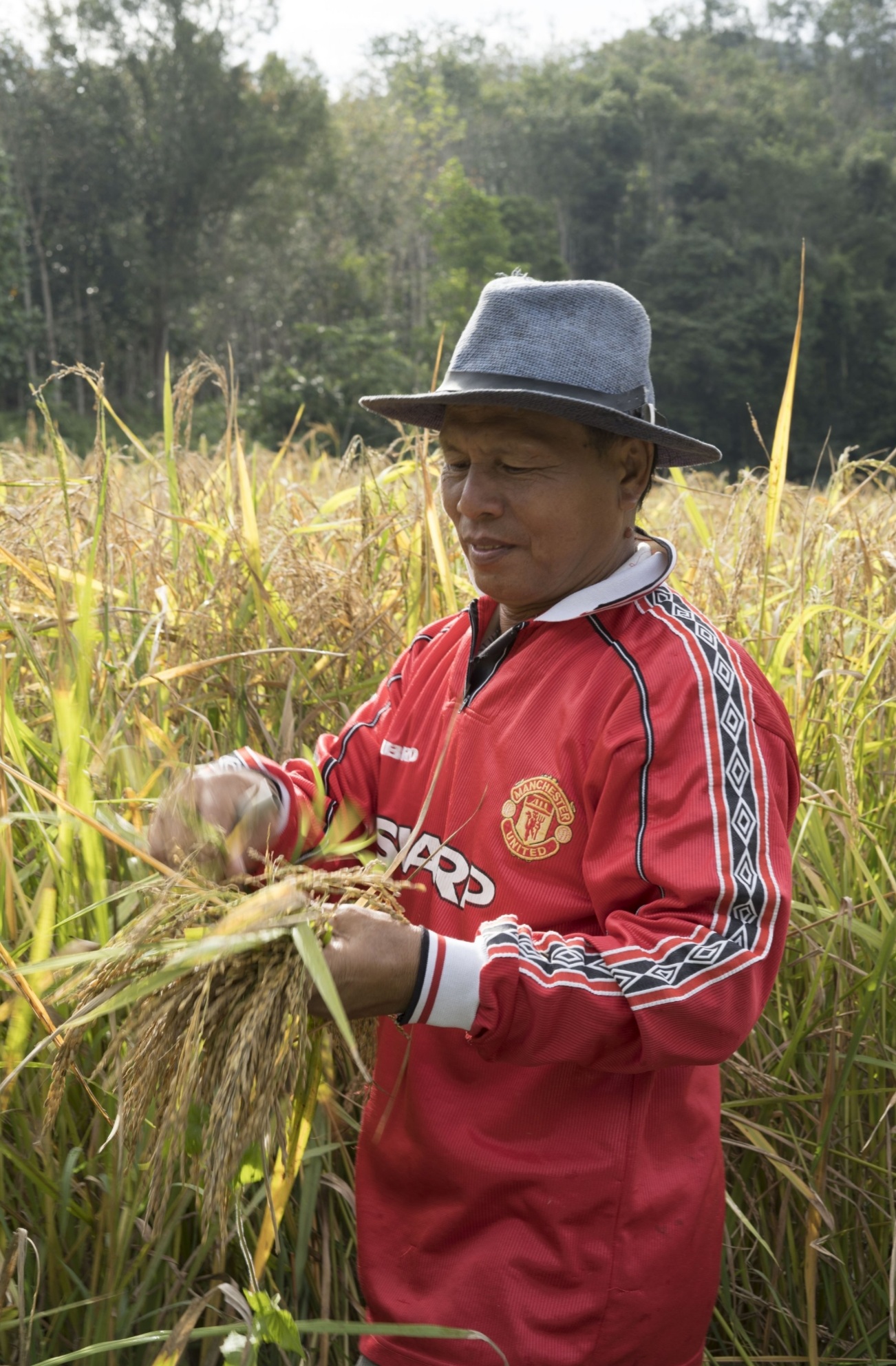 Citizen science helps rice farmers to move forward