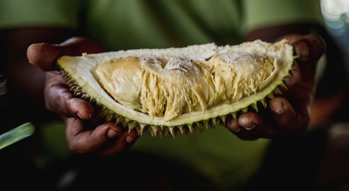 Premium durian kampung to penetrate global market, says Terengganu exco member