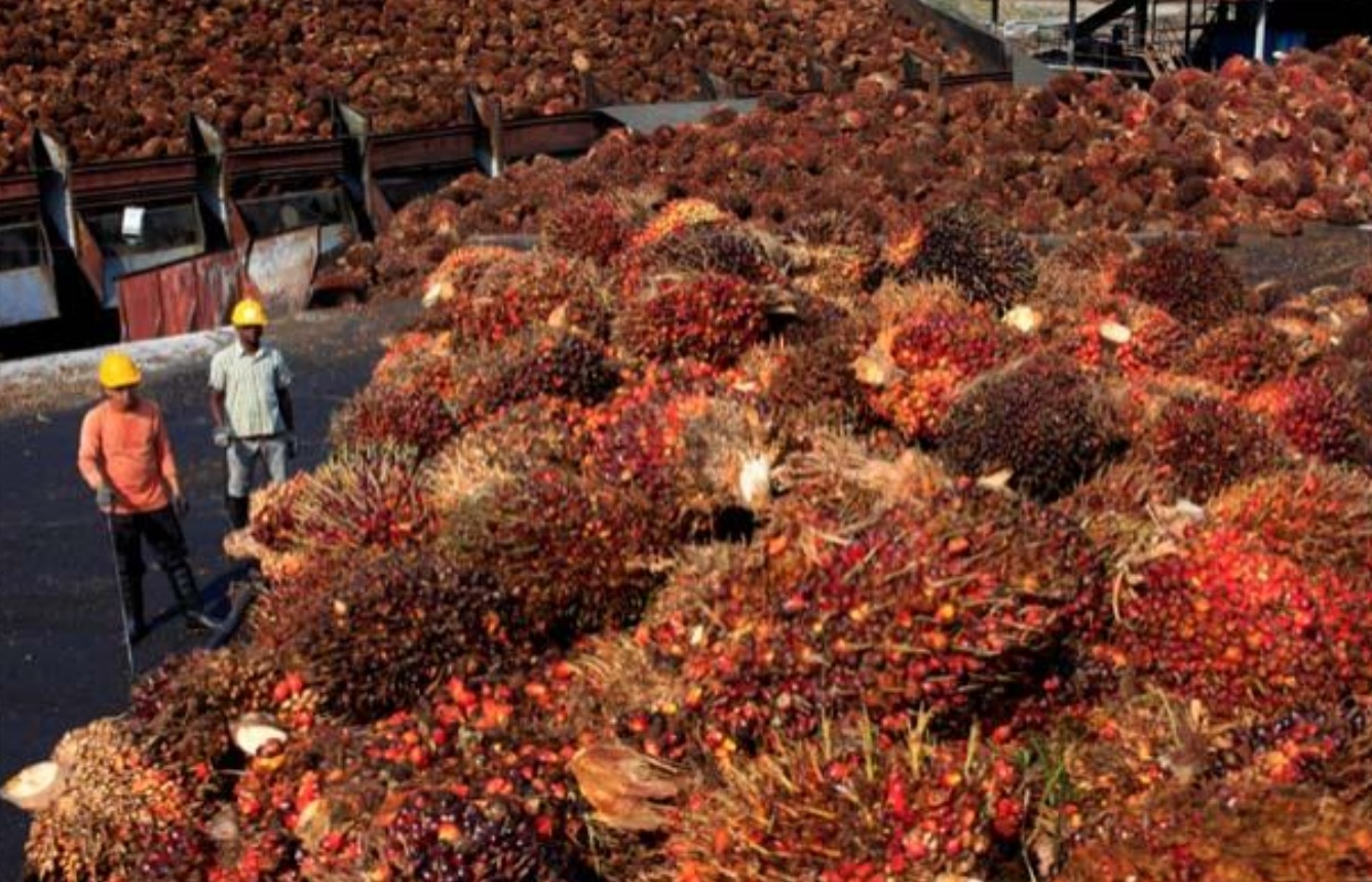 Agri-commodities exports jump 65% to RM105b in 2Q