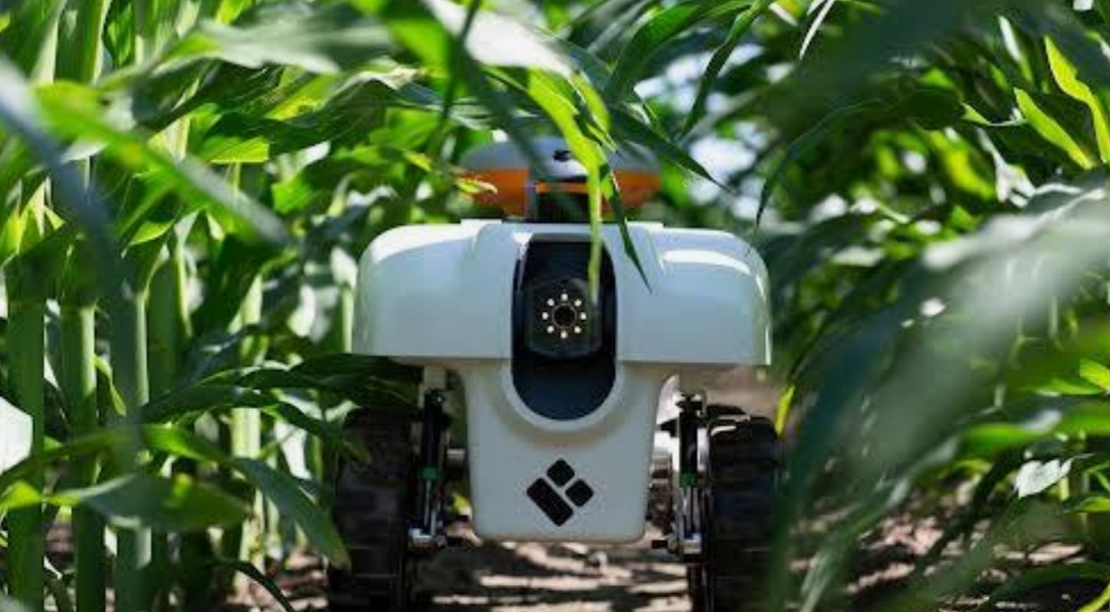 Sustainable transformation of agriculture with the Internet of Things