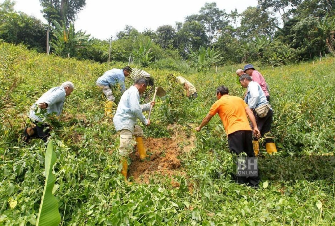 Malaysia, Australia bincang isu kurang pekerja ladang