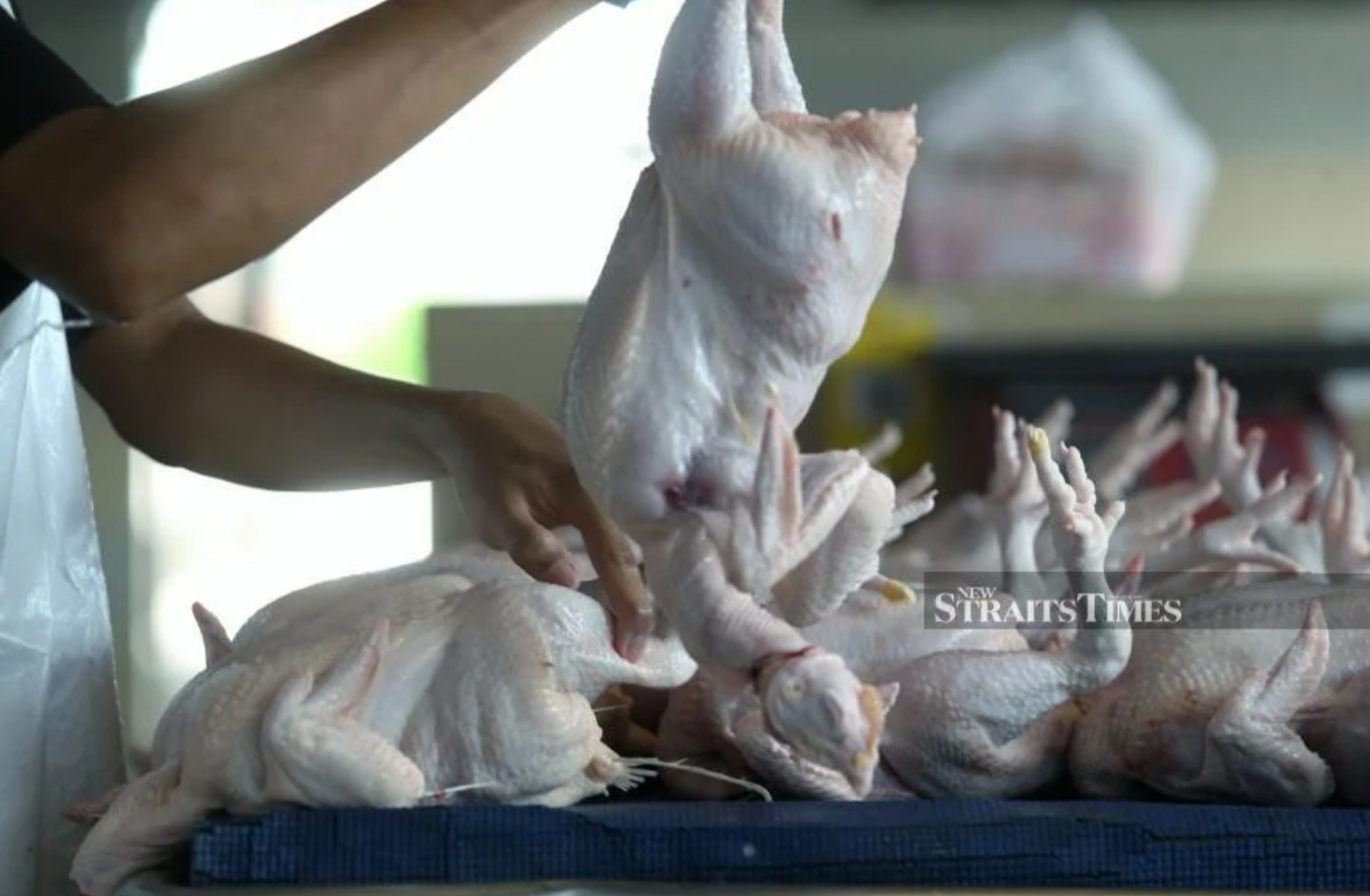 Wholesalers, retailers asked to engage with chicken breeders over price hikes