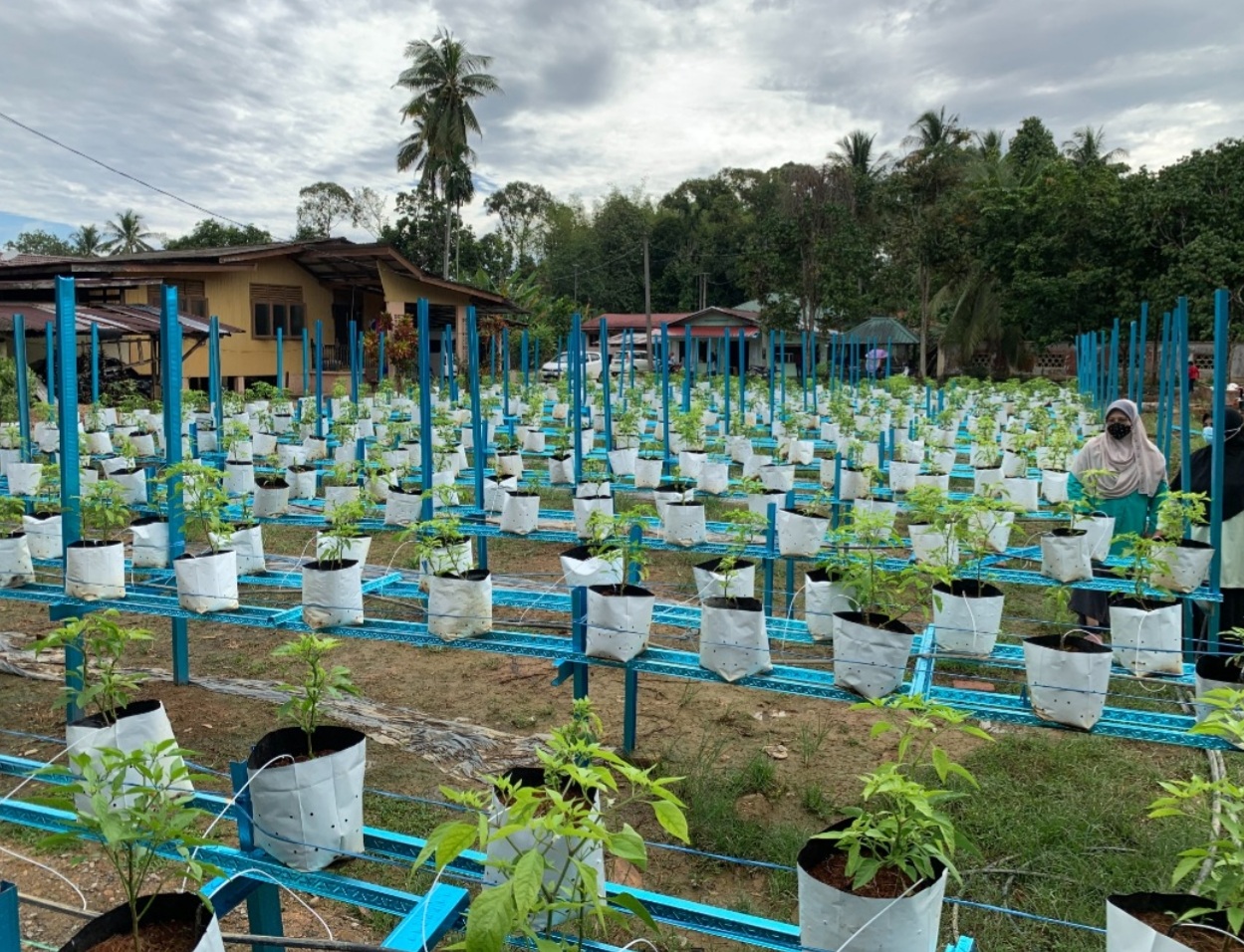 Kelantan teroka pendigitalan sektor pertanian
