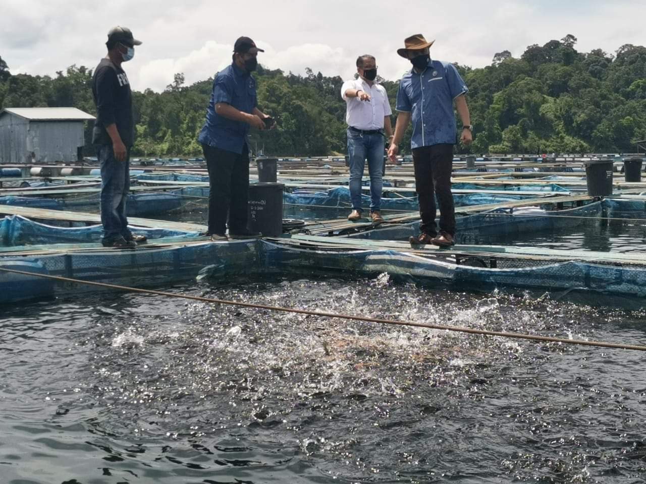 Lawatan kerja ke Pusat Pembiakan Anak Ikan yang dikendalikan oleh syarikat Peladang Ceria Hatchery Sendirian Berhad (PCHSB) di Batang Ai.