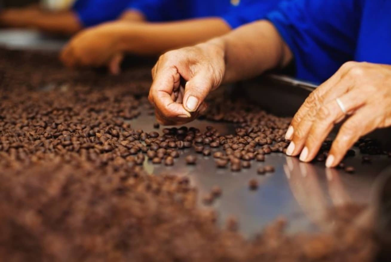 Agriculture Dept ready to assist coffee entrepreneurs in Malaysia, says deputy D-G