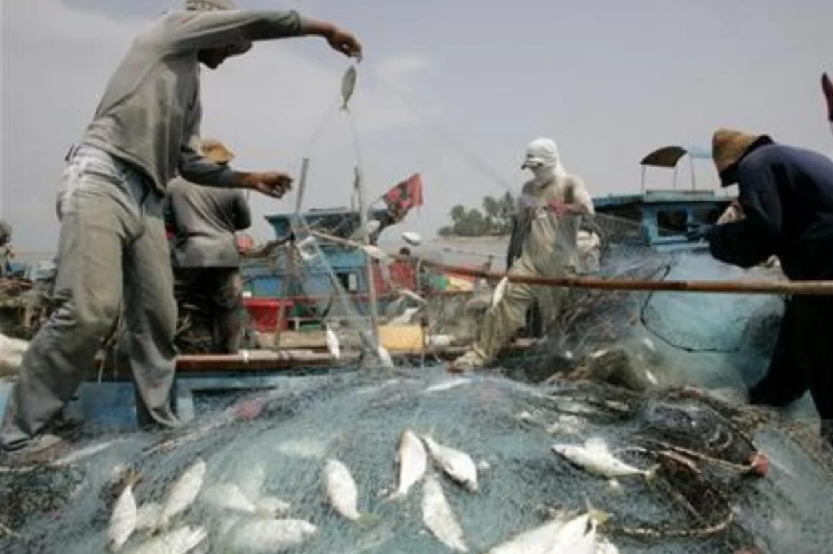 Fisheries and Agriculture sector players urged to take advantage of RM210 mil Food Guarantee Fund
