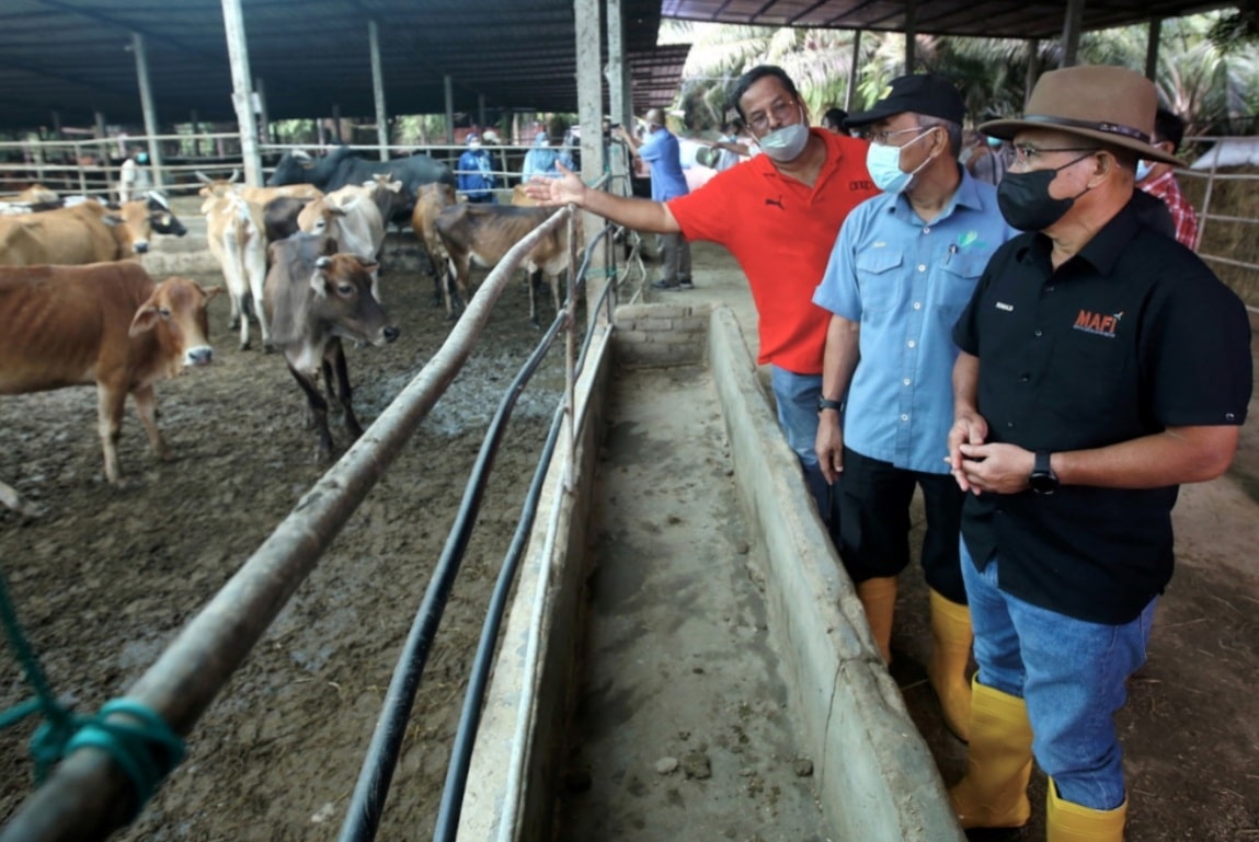 Agriculture and Food Industries Ministry allocates RM100m to assist agro-food sector affected by floods