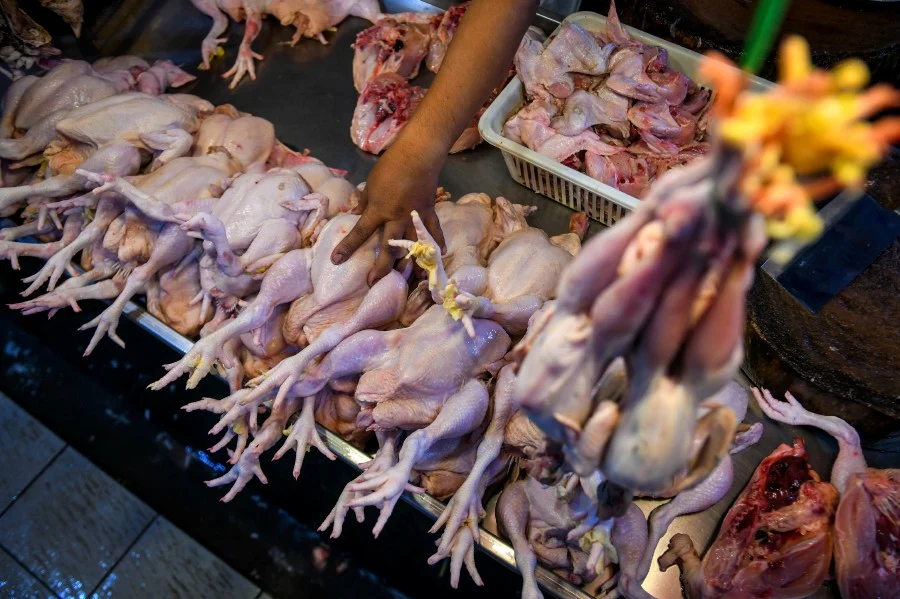 MAFI: Chicken imports a temporary measure