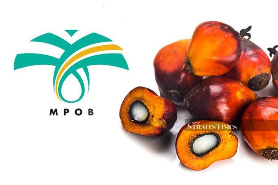 Upcoming Palm Oil Economic Review and Outlook Seminar 2022 to focus on domestic industry, price and outlook