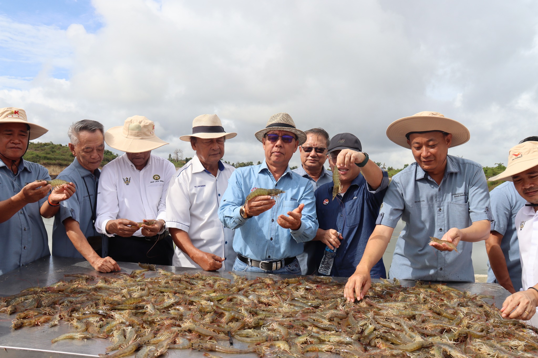 Press Releases on Shrimp Farming Project in Rambungan, Lundu